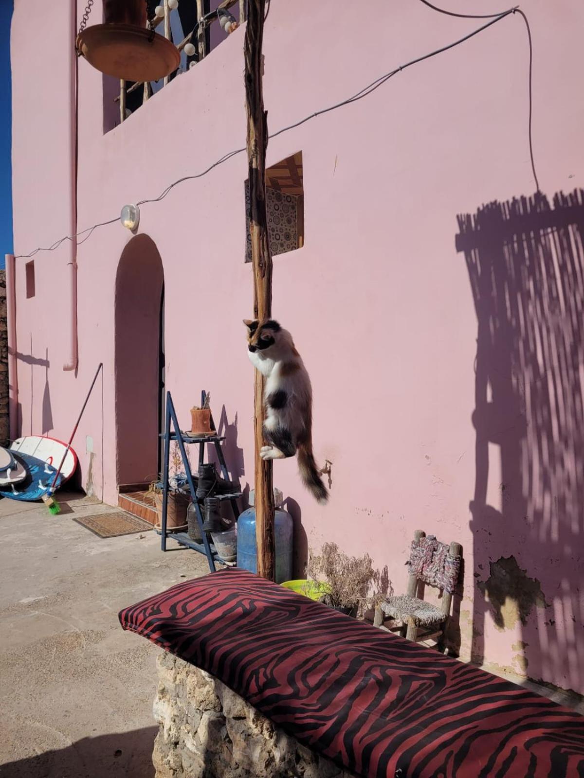 Home Surf Sidi Kaouki Dış mekan fotoğraf